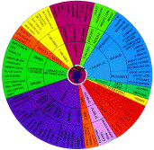 Aroma Wheel